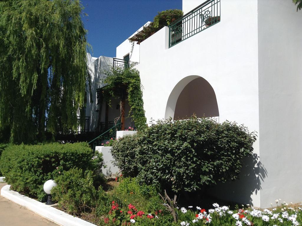 Astir Of Naxos Hotel Naxos City Bagian luar foto