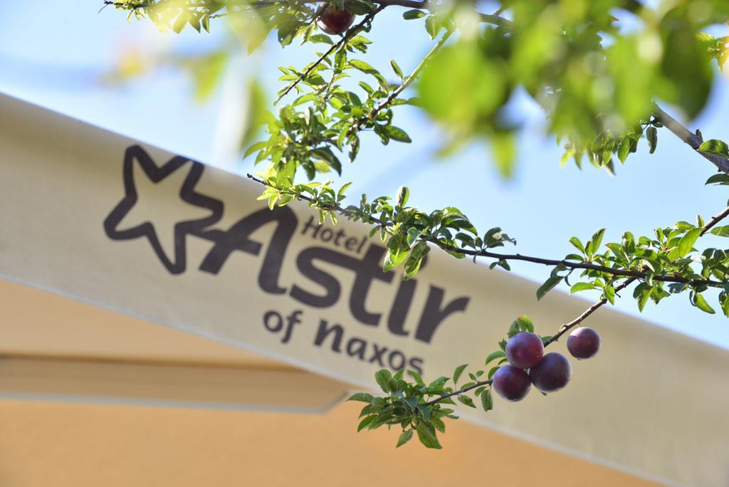 Astir Of Naxos Hotel Naxos City Bagian luar foto