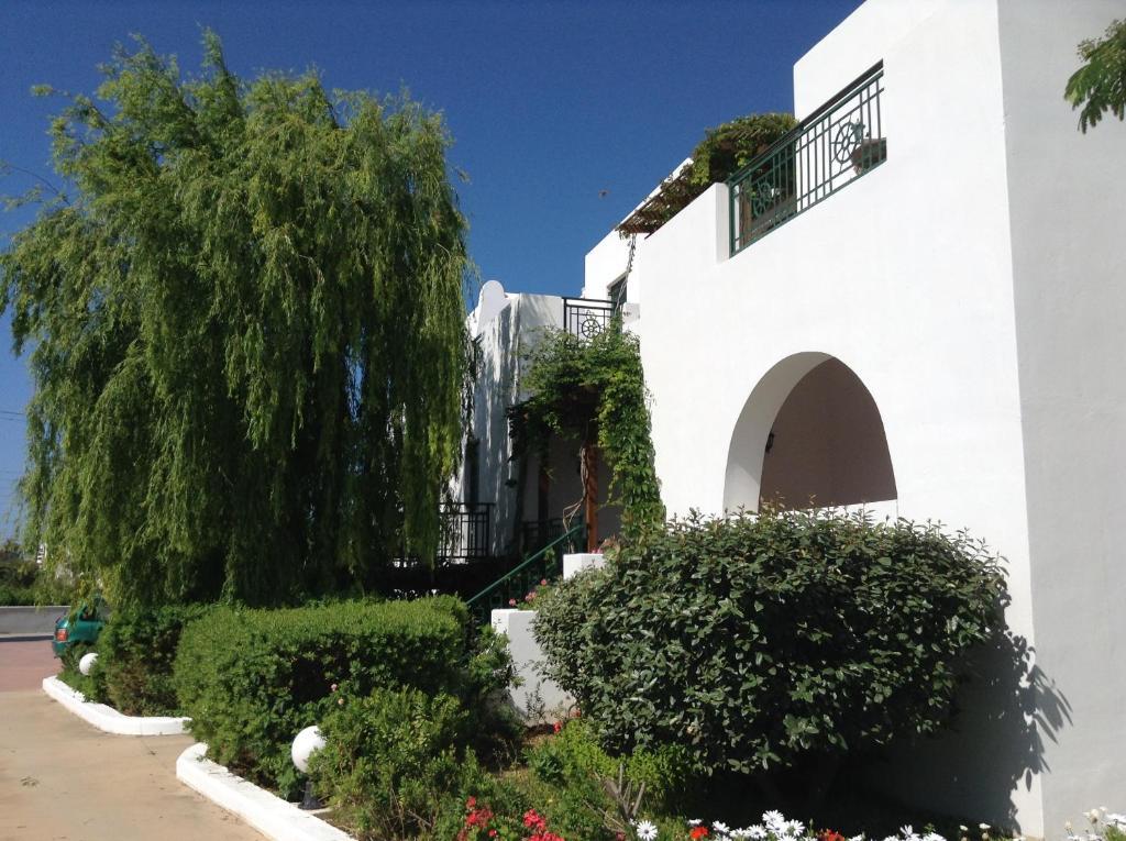 Astir Of Naxos Hotel Naxos City Bagian luar foto