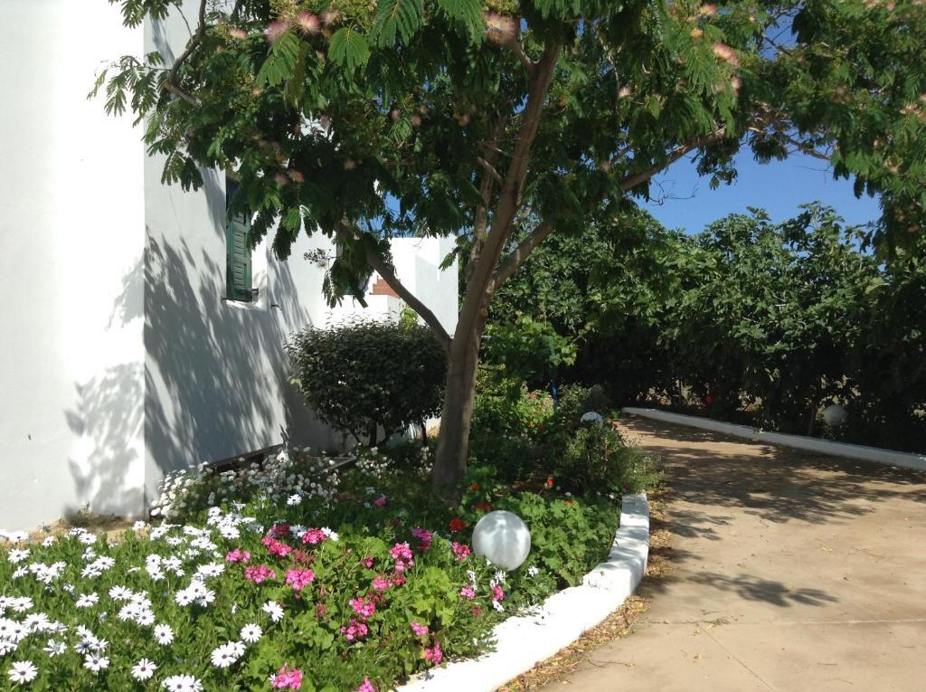 Astir Of Naxos Hotel Naxos City Bagian luar foto